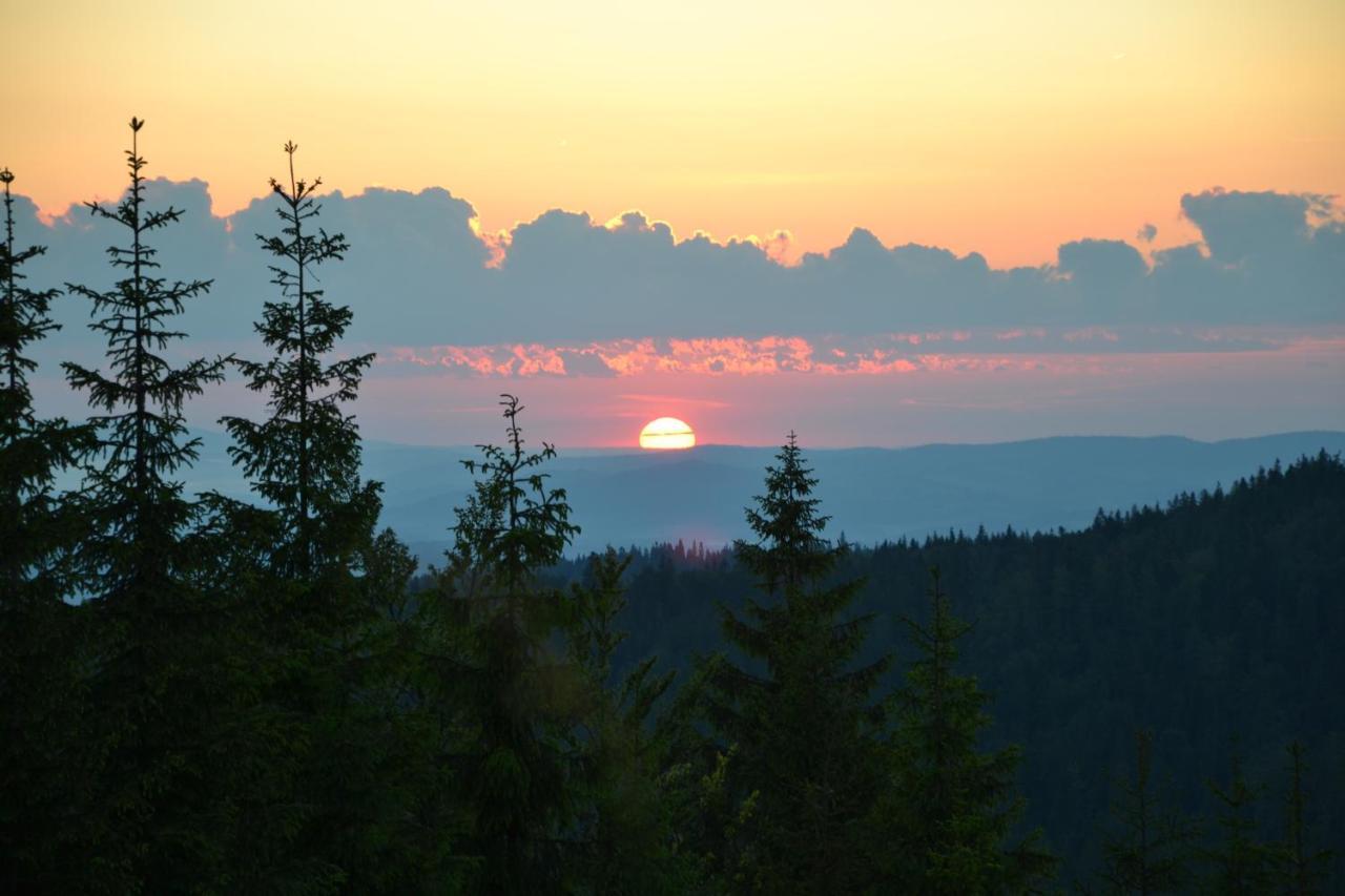 Willa Nad Dunajcem Nowy Targ Szoba fotó